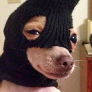 Meet your Posher, Ethan